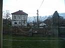 Třibřichy